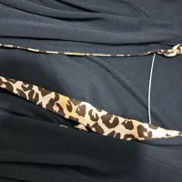 مانتودرحدنو خفاشی