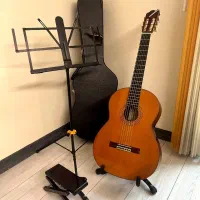 گیتار کلاسیک استیو