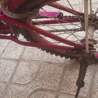 دوچرخه ۲۰|دوچرخه، اسکیت، اسکوتر|بوئین زهرا, |دیوار