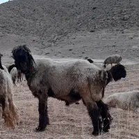 ۷۰۰،۰۰۰،۰۰۰