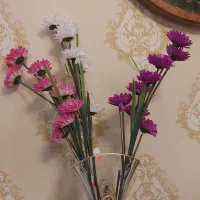 خدمتکار خانم