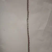 دستبند رولکس|جواهرات|آبپخش, |دیوار