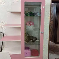 ویترین کودک