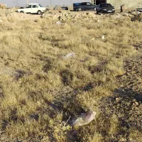 فروش زمین تجاری|فروش دفتر صنعتی، کشاورزی، تجاری|قروه, |دیوار