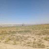 زمین‌ گلخانه ای اماده احداث در شهرستان جعفریه