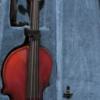 ساز ویولن تی اف|ویولن|اصفهان, باغ زرشک|دیوار