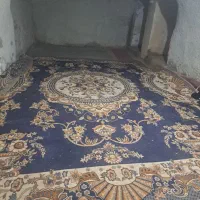 اتاق اجاره ای|اجارهٔ خانه و ویلا|شیراز, لب آب|دیوار