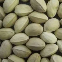 پسته پوک و رو آبی و دهنبست