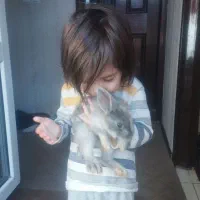 حیوان خانگی|موش و خرگوش|فولادشهر, مسکن مهر فولادشهر|دیوار