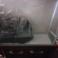 اکواریوم