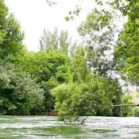 تور یک روزه باغبهادران|تور و چارتر|اصفهان, کوی گلزار|دیوار