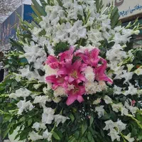 تاج گل|گل مصنوعی|شیراز, کلاهدوز|دیوار