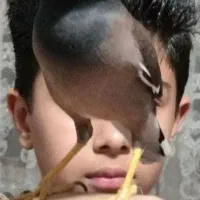 مینا سخنگو‌ افغان کوتوله عروس هلندی