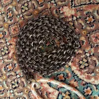 زنجیر اسپرنگی