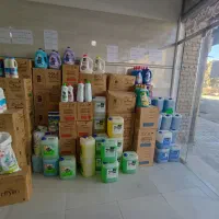 شوینده بهداشتی|مواد شوینده و دستمال کاغذی|قوچان, |دیوار