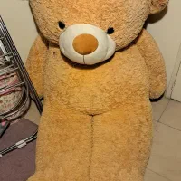 خرس ولنتاین دو متری