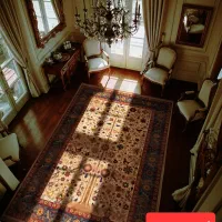 فرش ابریشمی نقشه سلطان آباد بژ|فرش|رشت, حومه رشت|دیوار