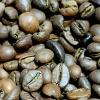 دون قهوه ساوانتا