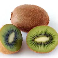 کیوی صادراتی