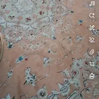 دوقطعه فرش سالم ودر حد نو|فرش|تربت‌حیدریه, قائم|دیوار