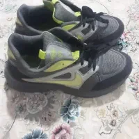 ۳تاکتونی سایز ۳۷|کیف، کفش، کمربند|کوهدشت, |دیوار