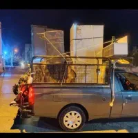 حمل بار ، وانت تلفنی ، جابجایی بار ، اسباب کشی|خدمات حمل و نقل|فیروزآباد (فارس), |دیوار