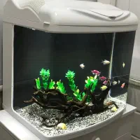 آکواریوم شرکتی دلسا