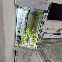 اکفرویوم