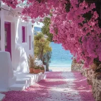 تور مسافرتی ۳۰میلیون تومانی