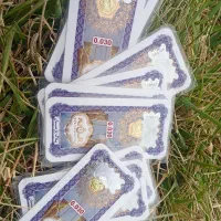 پارسیان سی سوت|کلکسیون سکه، تمبر، اسکناس|یاسوج, |دیوار