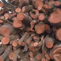 خرید وفروش چوب