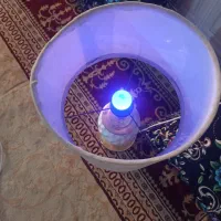 یک جفت چراغ خواب|چراغ خواب و آباژور|بندرعباس, |دیوار