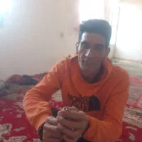 فروش سهره و مرغ شاخدار|پرنده|آبگرم, |دیوار