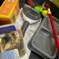 فروش وسایل پت (گربه)