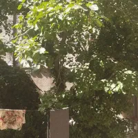 ویلایی دربست ۳۰۰ متری ۲ خوابه در شهید هاشمی نژاد|اجارهٔ خانه و ویلا|مشهد, شهید هاشمی نژاد|دیوار