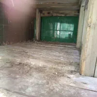 کبوتر|لوازم جانبی حیوانات|اهواز, کوی علوی|دیوار
