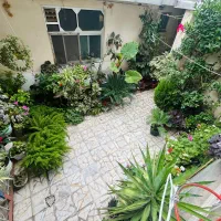 اجاره-سوئیت-روزانه-60-متری-داخل-شهر-فومن