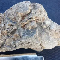 سنگهای طبیعی|جواهرات|پرند, فاز ۴|دیوار