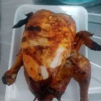 نیازمند نیروی کار فلافلی