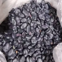 باقلا خشک فروشی...|خوردنی و آشامیدنی|ایرانشهر, |دیوار