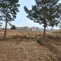 زمین باغچه|فروش زمین و ملک کلنگی|اسلام‌شهر, شهرک طالقانی|دیوار