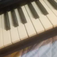 ارگ یاماها|پیانو، کیبورد، آکاردئون|تهران, سازمان آب|دیوار