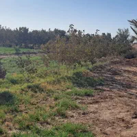 زمین مزروعی انتهای صحرای مبارکه نزدیک بلوارسنگ آهن|فروش زمین و ملک کلنگی|بافق, |دیوار