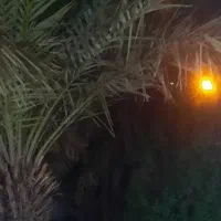 مشارکت درساخت