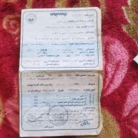 مینیسک ۱۲۵روسی|موتورسیکلت|قنوات, |دیوار