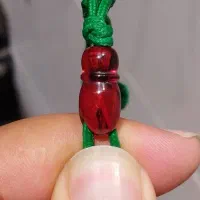 تسبیح سندلوس|زیورآلات و اکسسوری|نسیم‌شهر, |دیوار