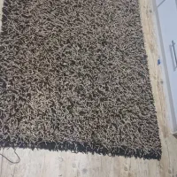 فرش ریش ریش|فرش|مشهد, تربیت (صدف)|دیوار