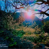 ویلا و سوئیت اجاره ایی «اخلمد»