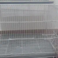 قفس پنجاه و شصت سانتی کفتر عروس قناری جفتگاه|لوازم جانبی حیوانات|مشهد, همت آباد|دیوار