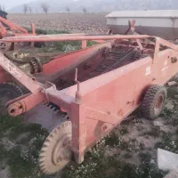 سیب کار و سیب کن سبز دشت